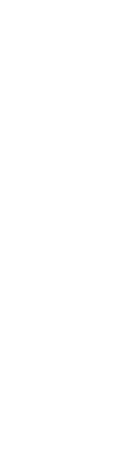 banner-shape